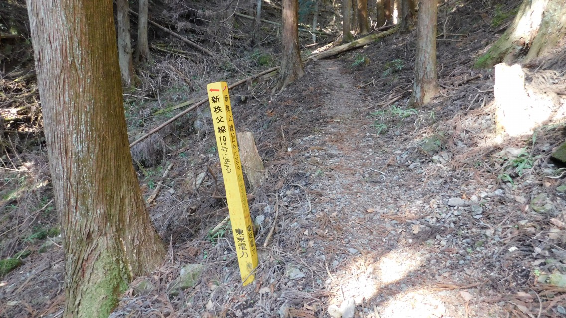 �m 39�^83 �n�@�����d�͂̉��F���W����ʉ�