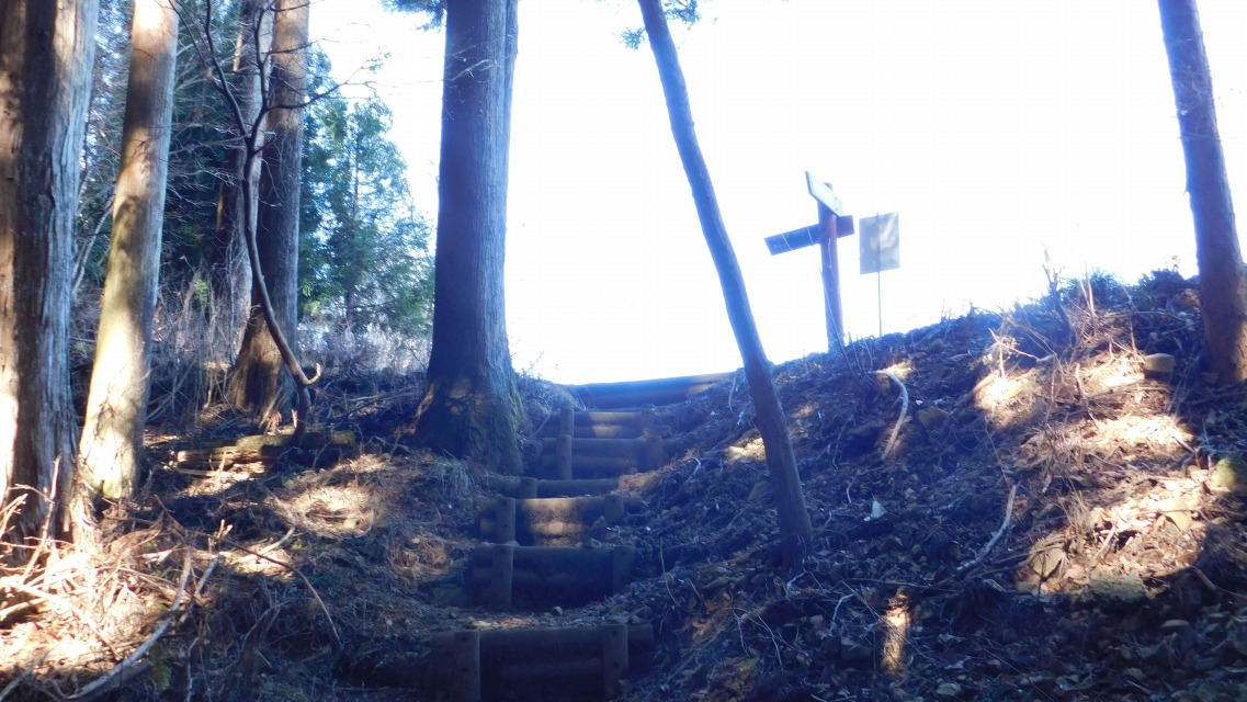 �m 42�^83 �n�@�����֏o��B�������ɓ����B