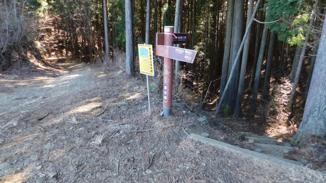 �m 43�^83 �n�@�̂ڂ��Ă�������U��Ԃ��āB�����͗ѓ��̕���_�Ǝv����B