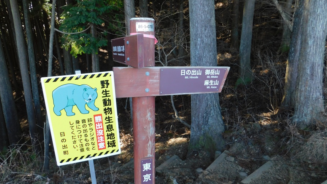 �m 44�^83 �n�@�\���m�F�B�u�����R�v�ցB