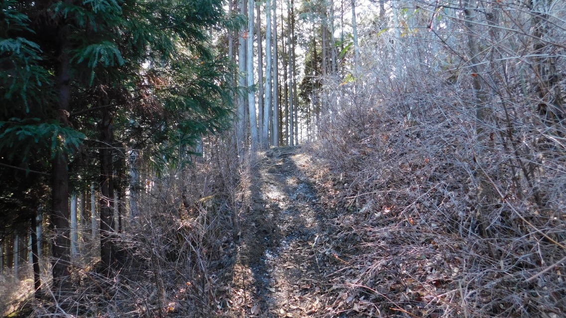 �m 47�^83 �n�@�o�R����i��