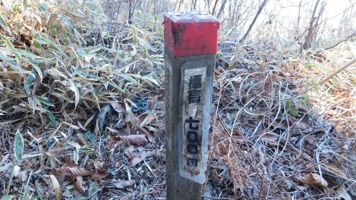 �m 48�^83 �n�@�u�W�� 700���v��ʉ߁B�u���̏o�R�̉�v�̕W���B���ӁB