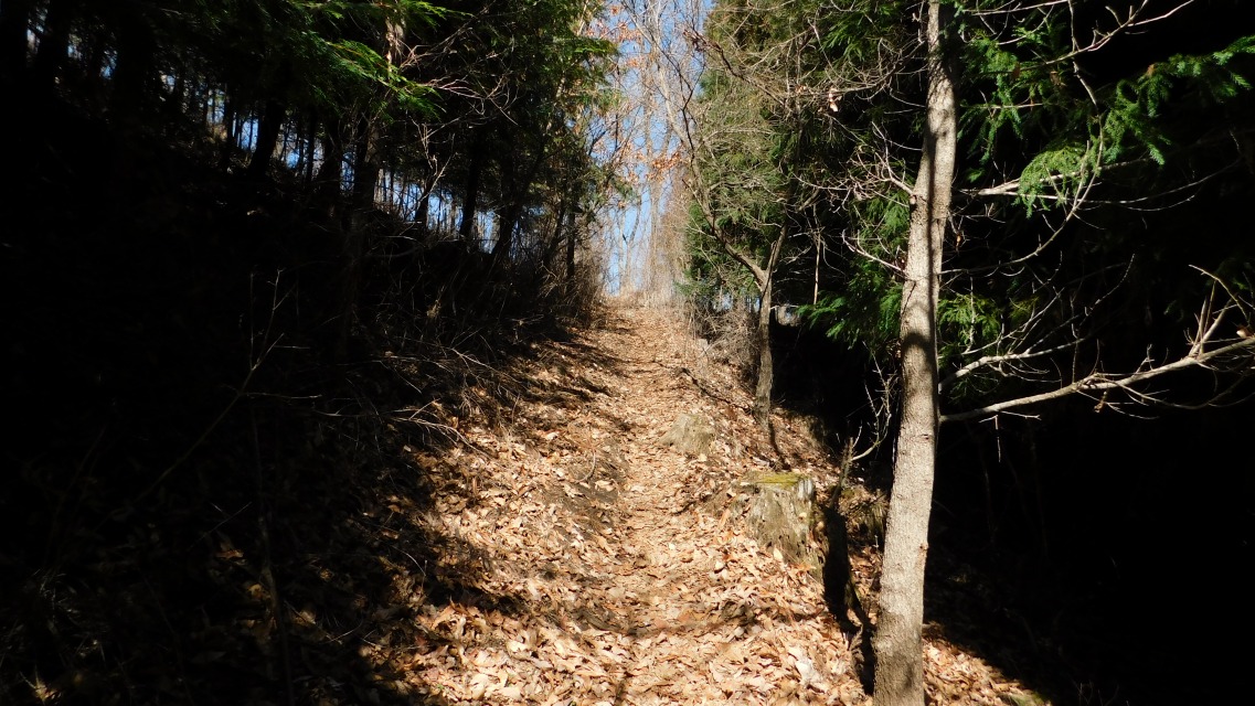 �m 49�^83 �n�@�O���A�Ő��֏o��悤��