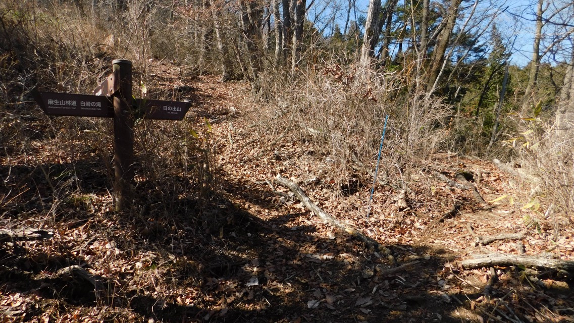 �m 50�^83 �n�@�Ő��֏o��B����_�B�E�́u���̏o�R�v���ʁB