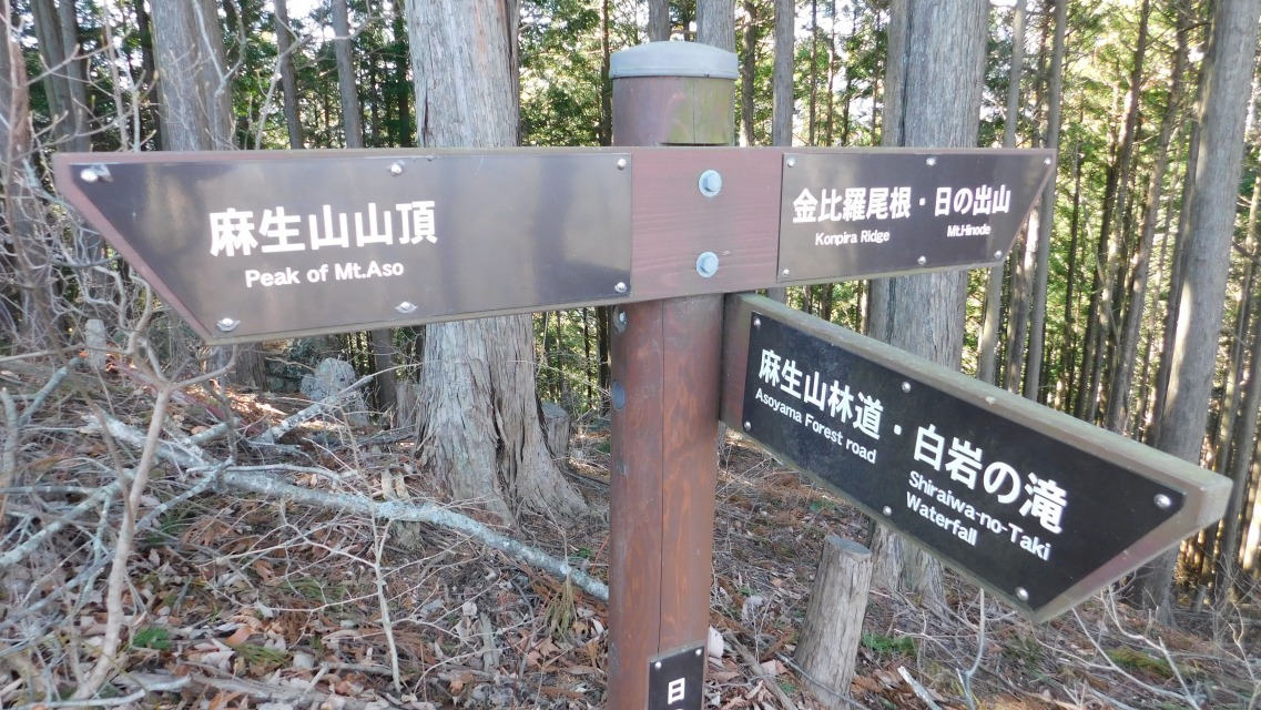 �m 53�^83 �n�@�\���m�F�B�E�́u���䗅�����E���̏o�R�v�B���u�����R�R���v�ցB