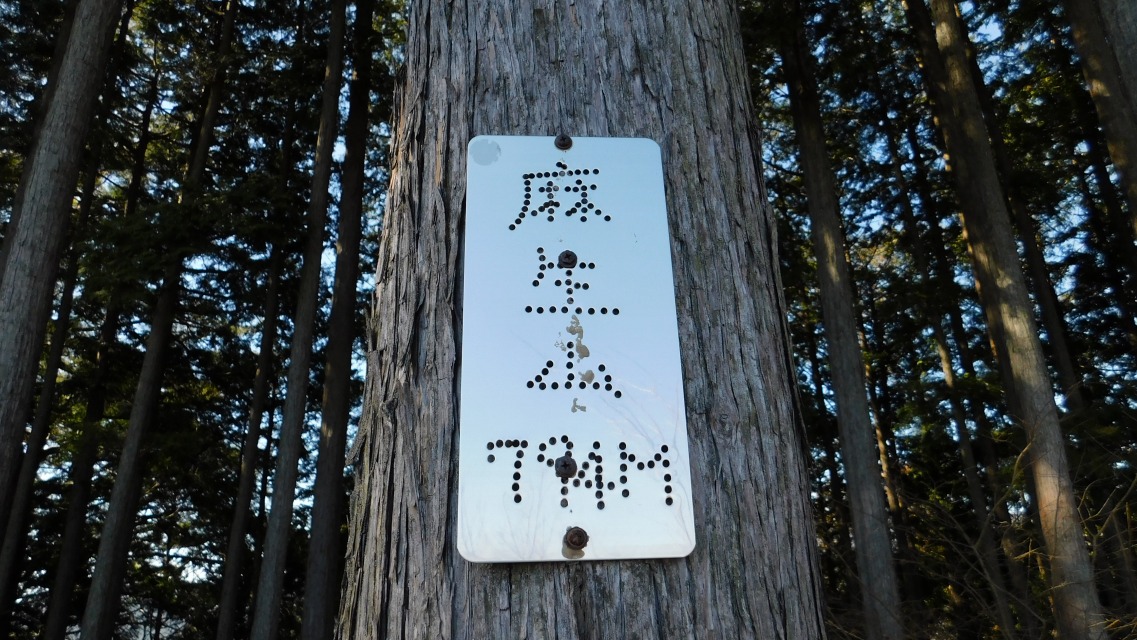 �m 55�^83 �n�@�u�����R 794�l�v�\����