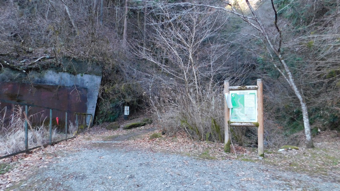 �m 6�^83 �n�@�ѓ��I�_�B�g�C������100���قǁB�u����̑�@�V�����v�ē��B�u����v�Q�ƁB