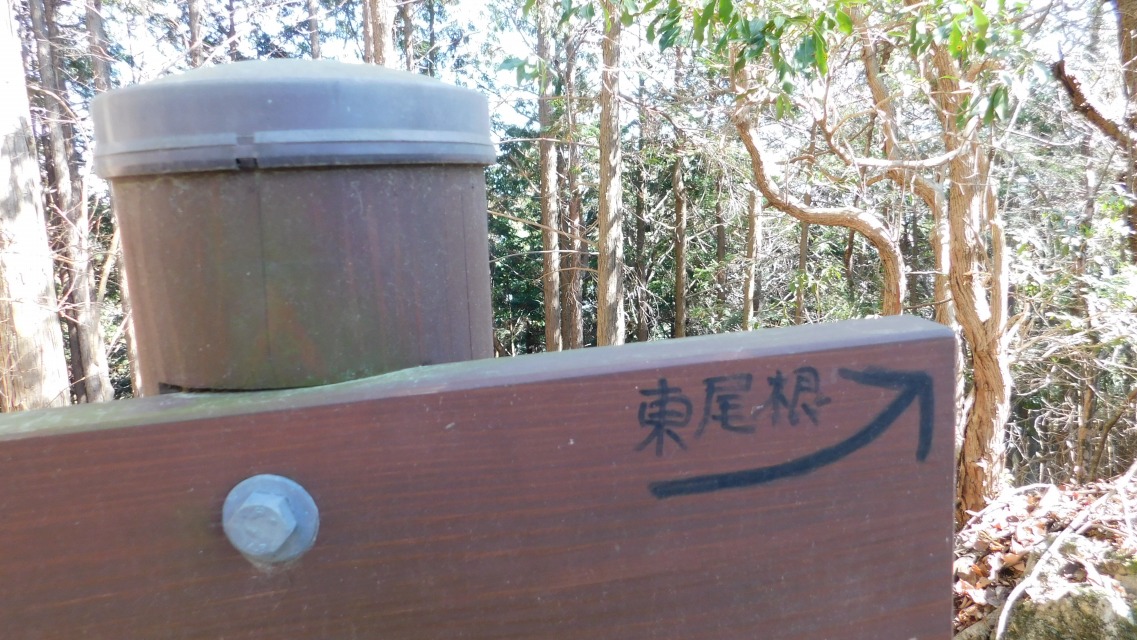 �m 62�^83 �n�@�\���ɍ����菑���̕����Łu������ �� �v�Ə�����Ă���