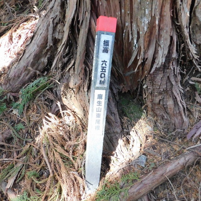 �m 66�^83 �n�@�u�W�� 650���v�ʉ�