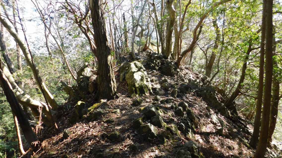 �m 67�^83 �n�@�o�R���̗l�q