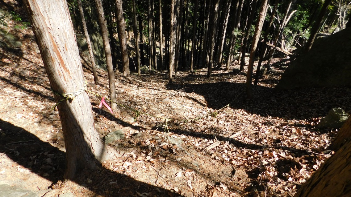 �m 69�^83 �n�@���[�v�ݒu�ꏊ�B�s���N�̃e�[�v�����Ă���B