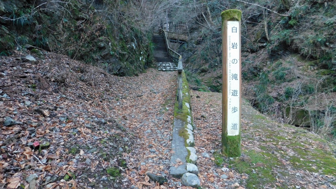 �m 7�^83 �n�@�u����̑�@�V�����v�W��