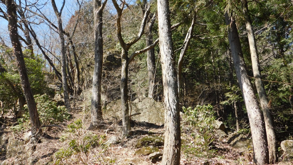 �m 70�^83 �n�@�傫�Ȑ΂�ʉ߁B����U��Ԃ��ċ��΂��B�e�B