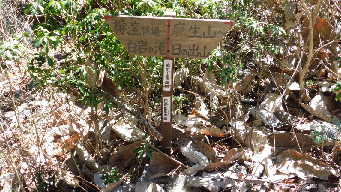 �m 71�^83 �n�@���p�\�����m�F�A���S�����B�����ɂāB