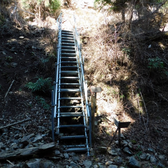 �m 75�^83 �n�@�K�i������āB���ɕ��p�\��������B����U��Ԃ��āB