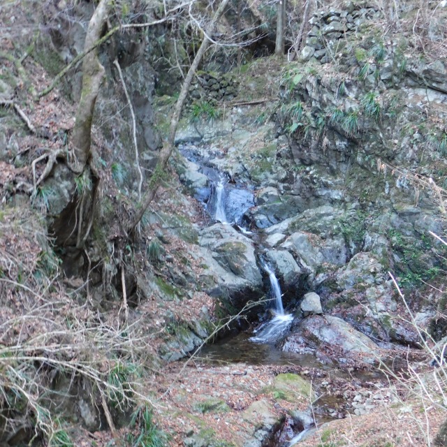 �m 9�^83 �n�@�����ȑ��ʉ�