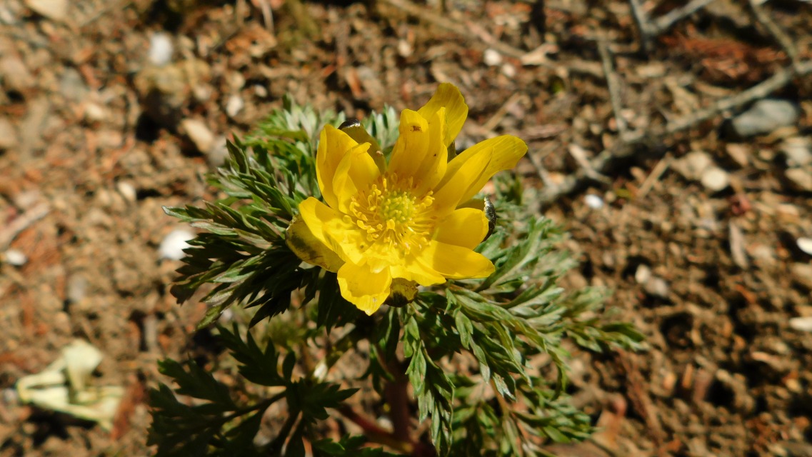 �m 107�^154 �n�@����