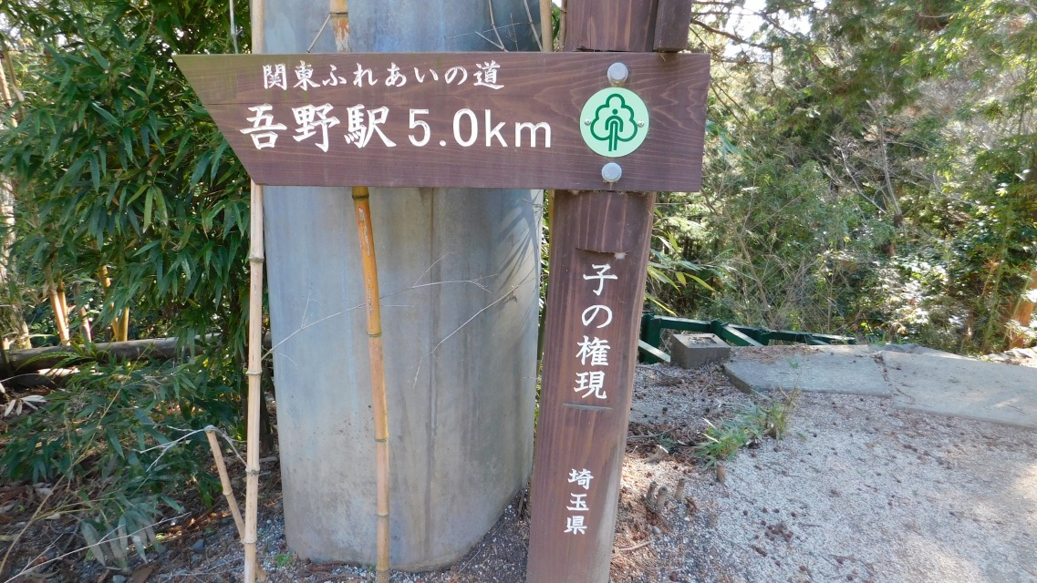 �m 121�^154 �n�@�u�q�̌����v�W���B�u���w 5.0�����v�։��R����B