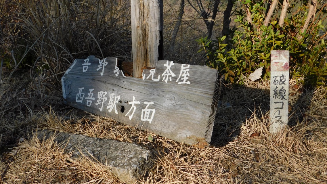 �m 131�^154 �n�@�m�F�B���u���w�@�󌩒����v�֌������B�E�́u �� �j���R�[�X�v�B