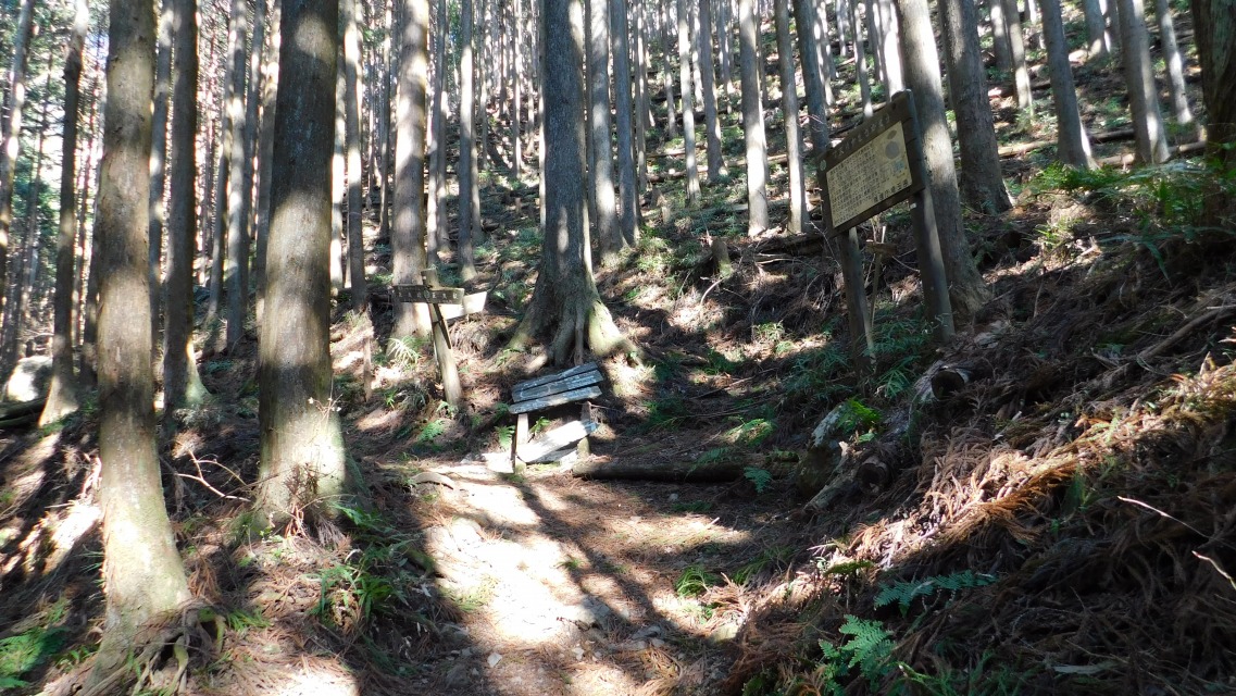 �m 14�^154 �n�@����_