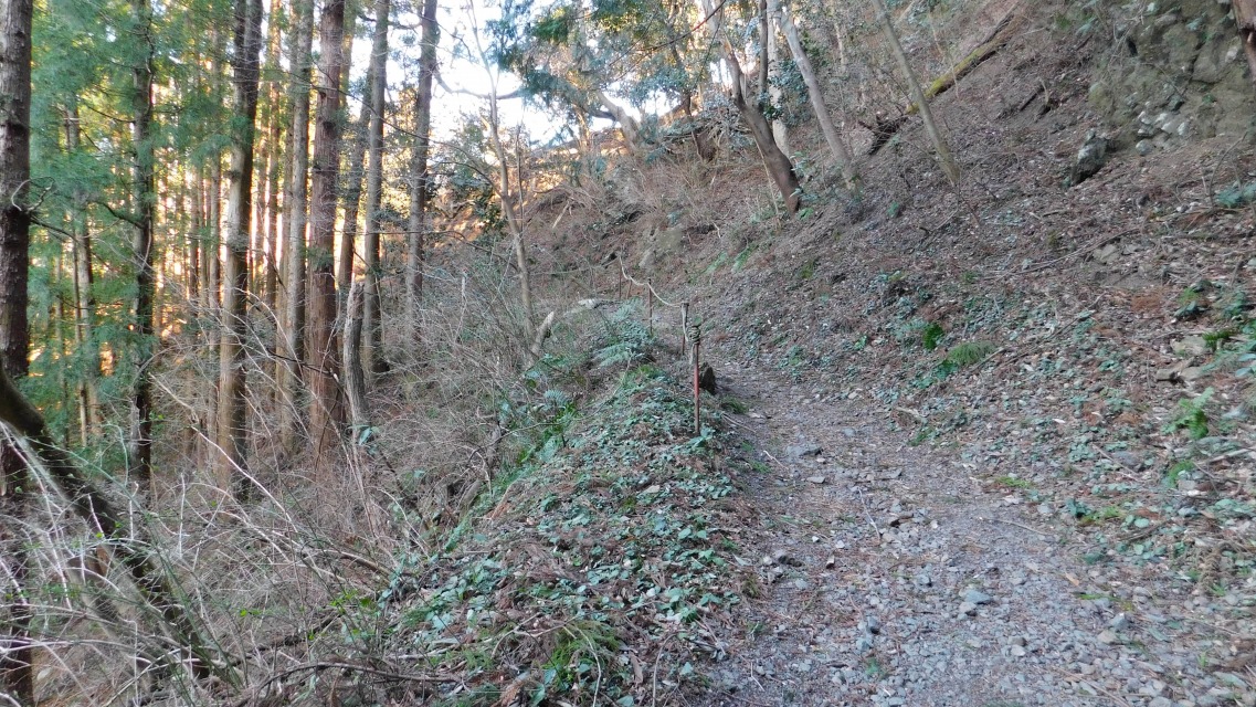 �m 143�^154 �n�@�r���A�R�݂��֓���