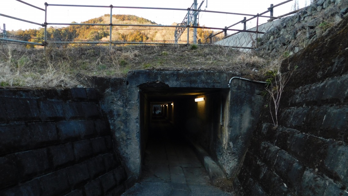 �m 151�^154 �n�@�n����