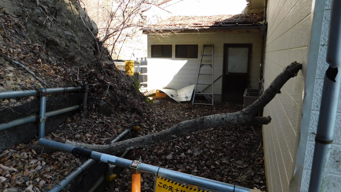 �m 29�^154 �n�@�����̗����B�ē��O�ɂāB