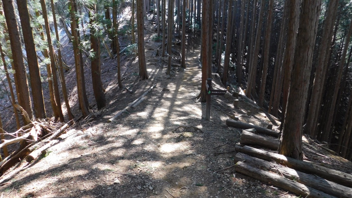 �m 34�^154 �n�@���⓻�ɓ����B����_�B