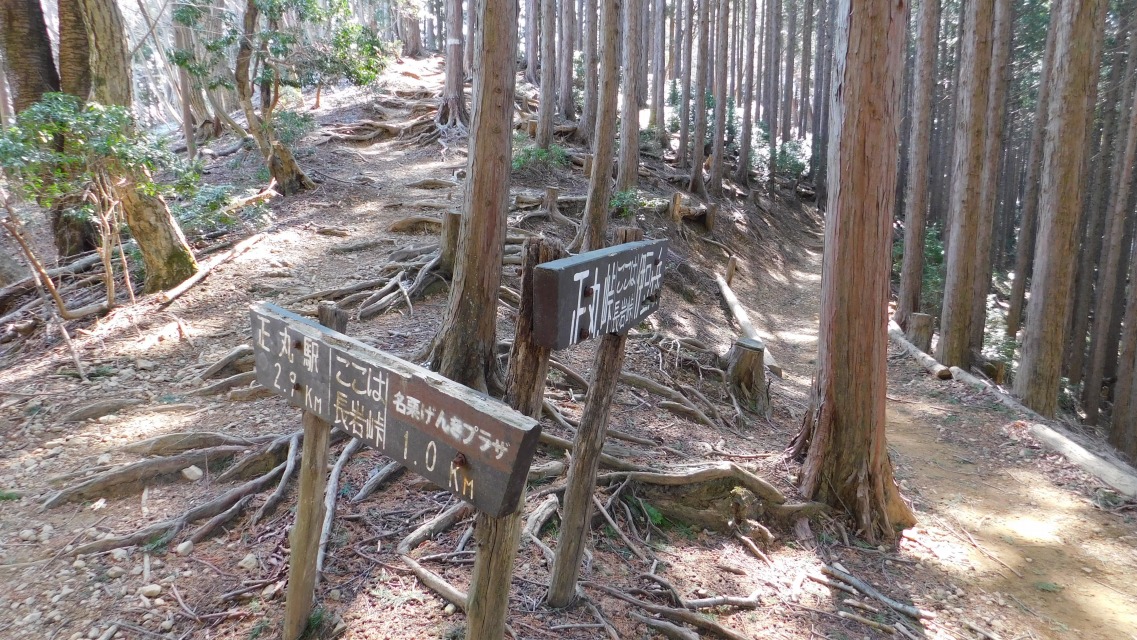 �m 36�^154 �n�@�u�����͒��⓻�v�\���B���ցB�ȏ�A���⓻�ɂāB