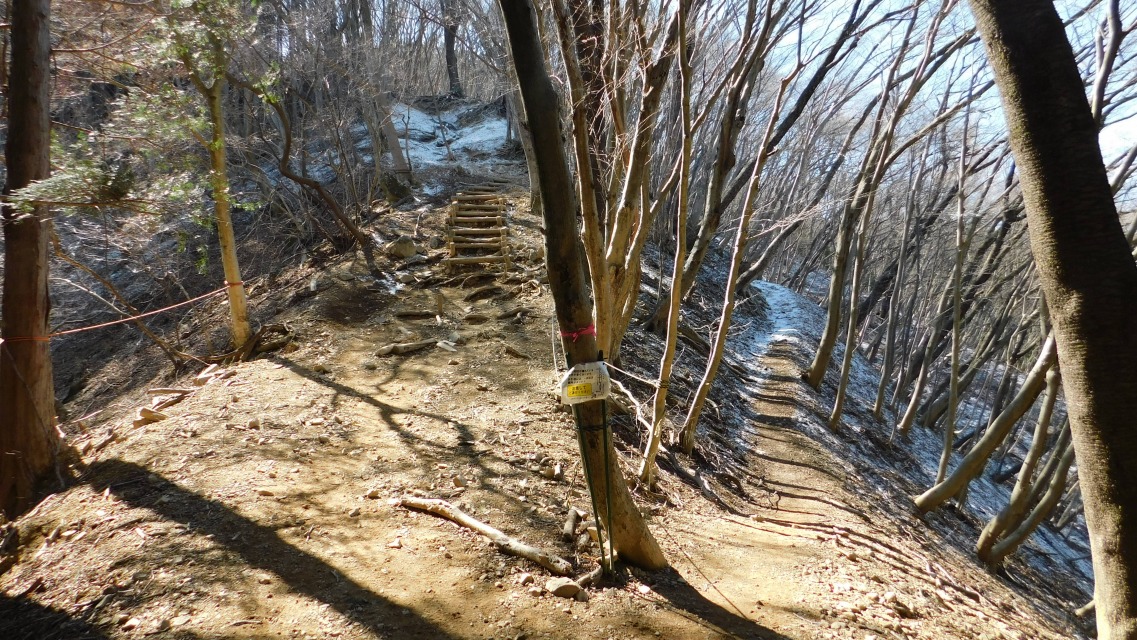 �m 38�^154 �n�@�ۑ��K�i�i���j�Ɗ������i�E�j�Ƃ̕���_