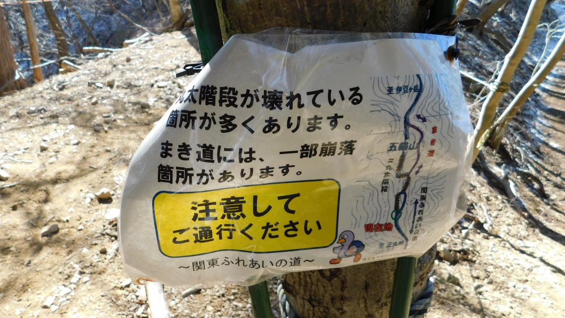 �m 39�^154 �n�@�ē��\�����m�F�B���u�ۑ��K�i�v���̂ڂ�B