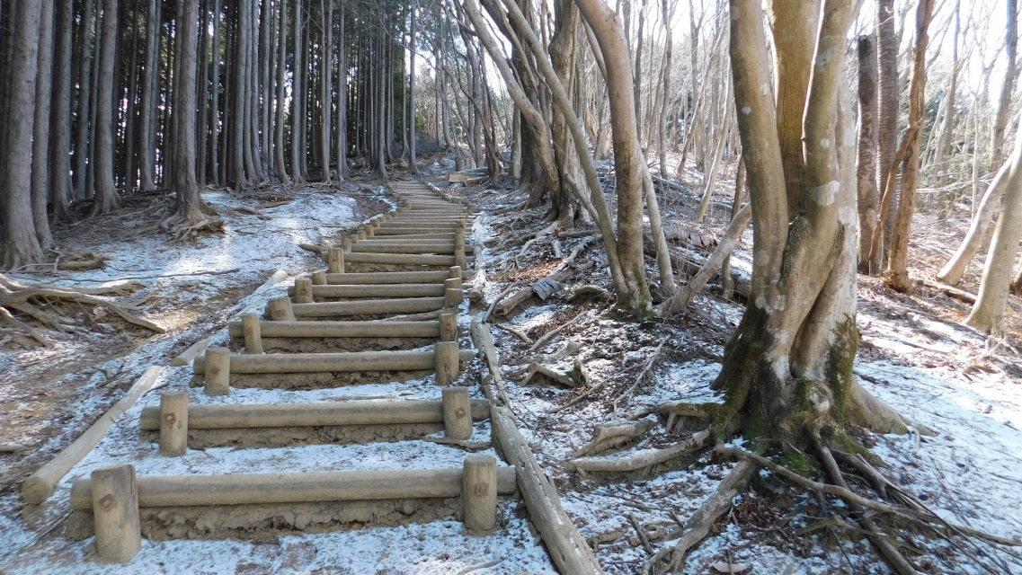 �m 40�^154 �n�@�ۑ��K�i�̗l�q