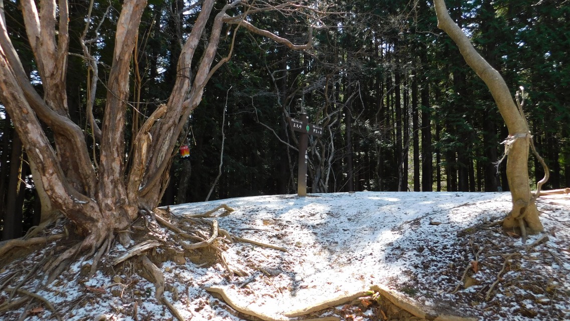 �m 41�^154 �n�@�ܗ֎R�ɓ���