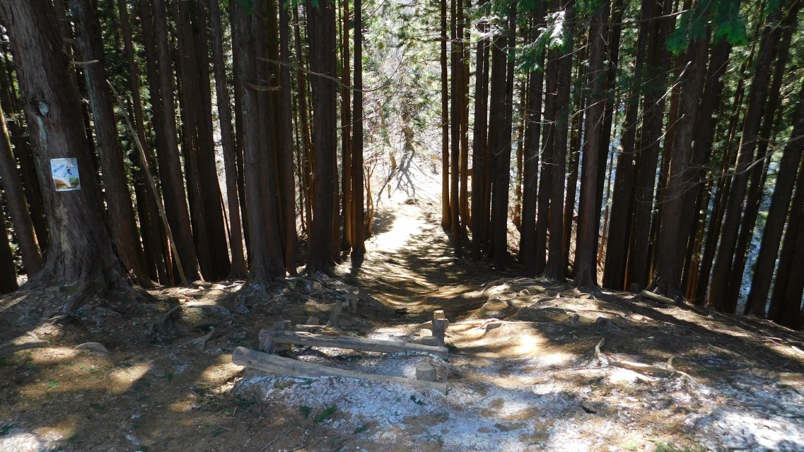 �m 43�^154 �n�@�ܗ֎R��������