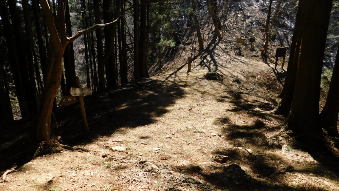 �m 44�^154 �n�@������I���ƕ���_