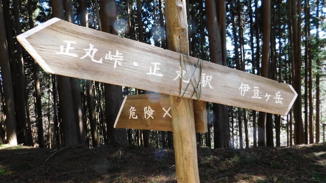 �m 45�^154 �n�@�����̓��́u�댯 �~ �v