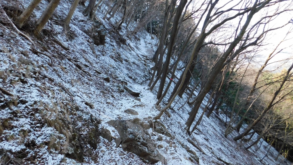 �m 49�^154 �n�@����̗l�q