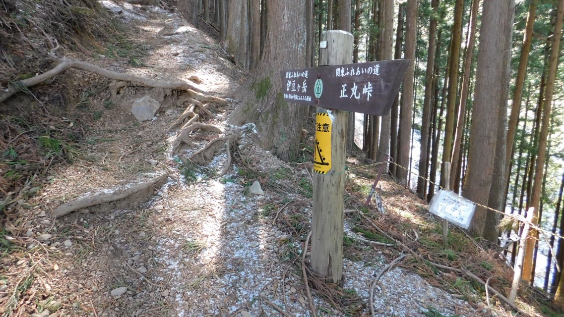 �m 50�^154 �n�@�E�����{���̏��₾���u�ʍs�~�߁v