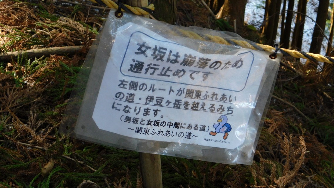 �m 51�^154 �n�@�\���m�F�B�u����͕����̂��ߒʍs�~�߂ł��v�B