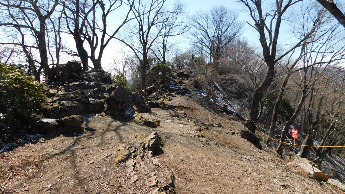 �m 54�^154 �n�@�R���̗l�q