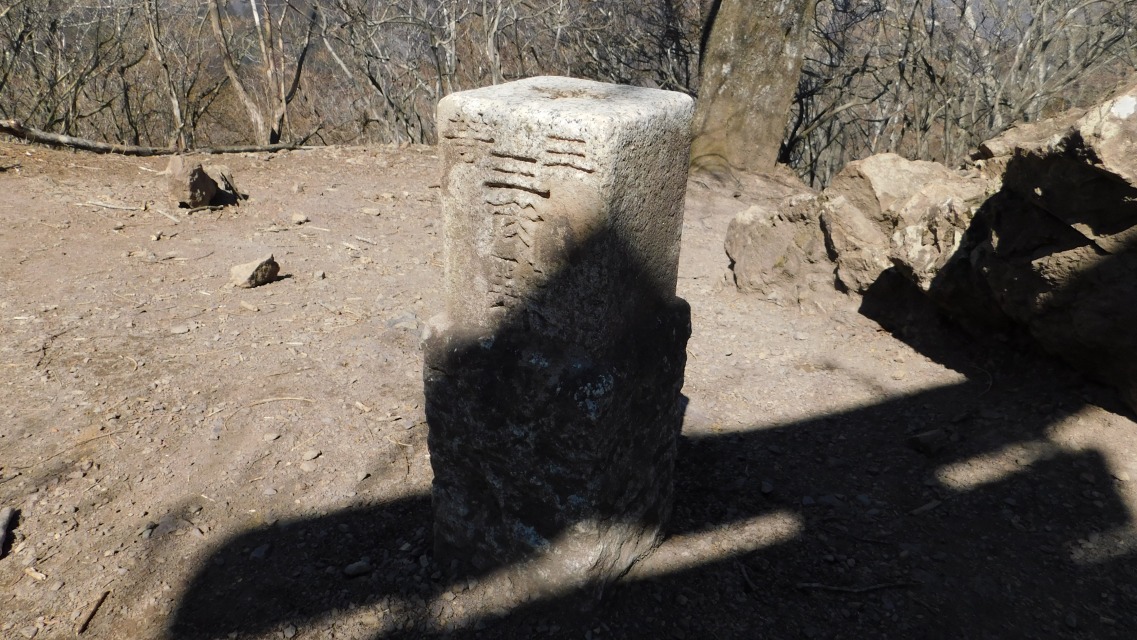 �m 59�^154 �n�@�u�O���O�p�_�v�B���H�x�e�B