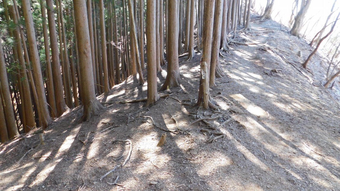 �m 63�^154 �n�@����_�B���u�����v�B