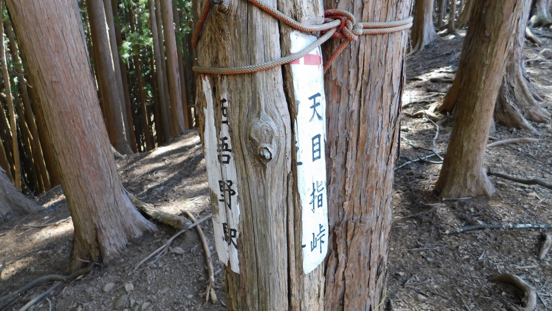 �m 64�^154 �n�@�\���m�F�B�u�V�ڎw���v�ցB