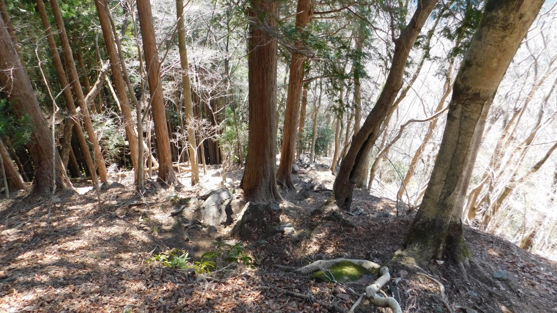 �m 69�^154 �n�@�o�R���̗l�q