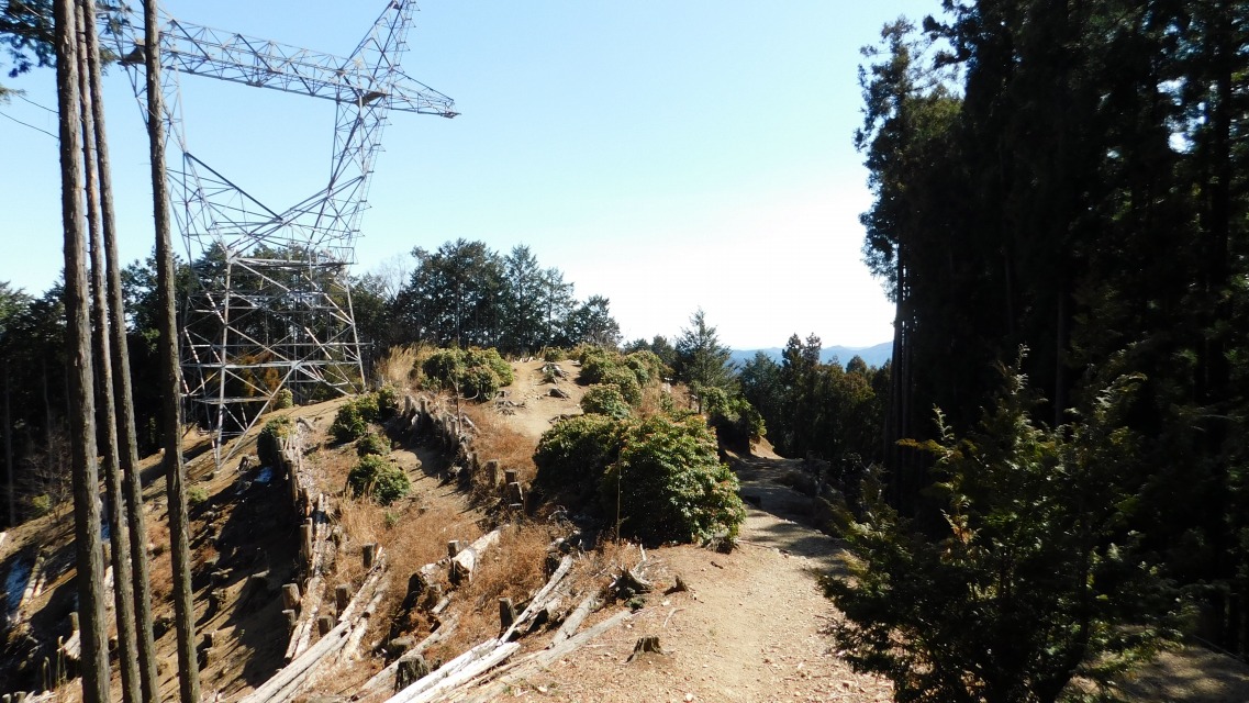 �m 73�^154 �n�@�o�R���̗l�q