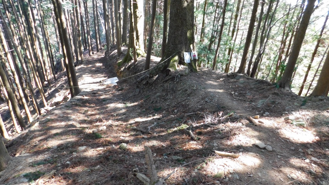 �m 74�^154 �n�@�E���̓o�R����ʂ�