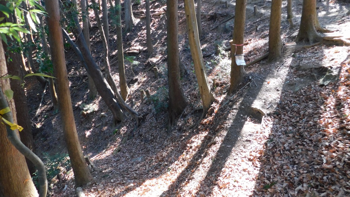 �m 76�^154 �n�@����_�B�E�ցB