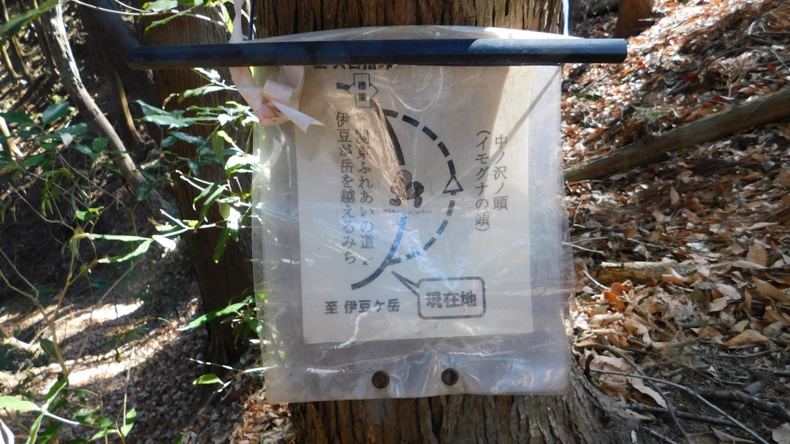 �m 77�^154 �n�@�\���m�F�B�E�u���m��m���i�C���O�i�̓��j�v�ցB���͊������Ǝv����B