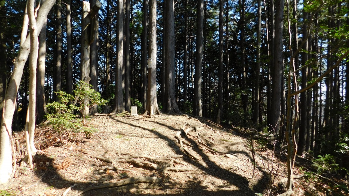 �m 78�^154 �n�@���m��m���ɓ���