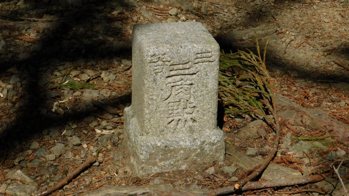 �m 80�^154 �n�@�u�O���O�p�_�v�B�ȏ�A���m��m���ɂāB